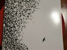 Wilco Sky Blue Sky. Vinyl. 2007 Pressing W/CD. Pre-owned.