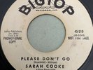 SARAH COOKE-Please Don't Go/Sun's Gonna Shine-RARE DJ WLP Promo NORTHERN SOUL 45