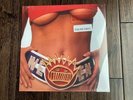 Ween - Chocolate and Cheese 2xLP New, Sealed, Reissue (Brown & Yellow Vinyl)