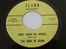 THE SONS OF ADAM ULTRA  RARE GARAGE PSYCH 45 ON ALAMO LABEL FEATHERED FISH MINT-