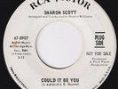 SHARON SCOTT Could It Be You  stunning NORTHERN SOUL 45 Id Like To Know
