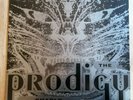 The Prodigy 12