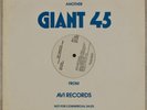 RINDER & LEWIS: Envy (Animal Fire)/Lust US AVI Disco Funk 12” Promo NM
