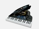 JOHNNY HALLYDAY Bercy 2003 Coffret Piano Collector Édition limitée etnumérotée