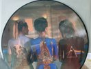 PINK FLOYD PICTURE DISC in VINYL SLEEVE LOOKS UNPLAYED