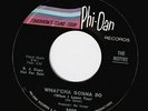 THE IKETTES What'cha Gonna Do (When I Leave You) Vinyl Record 7 Inch US Phi-Dan