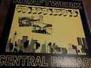 Kraftwerk Central Passage Vinyl