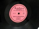 The Harptones 78 What Is Your Decision Gimmie Some ANDREA strong VG cond. g 1731