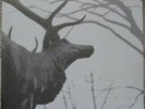 Agalloch – The Mantle 2x LP Clear (Grau)- Alcest- Wolves in the Throne Room- Fen
