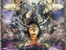 Protest The Hero, Fortress Vinyl