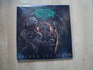 Skeletal Remains - Beyond the flesh Vinyl Schallplatte LP NEU Death Grave Sinist