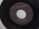 Garage Rock The Abandoned COME ON MARY/AROUND AND AROUND 1966 The Abandoned 4867