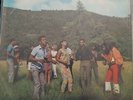Various-Reggae in the grass Studio One Rocksteady Coxone Jamaica Skinheads