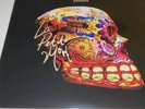JAMES Le Petite Mort 2x180g LP Limited Edition NEW SEALED Mint Vinyl Double