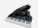 JOHNNY HALLYDAY Bercy 2003  Coffret Piano Collector Édition limitée et numérotée