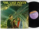 Last Poets with Bernard Purdie - Delights Of The Garden LP - Douglas PROMO