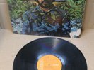 LONNIE LISTON SMITH & COSMIC ECHOES - VISIONS OF A NEW WORLD - 12
