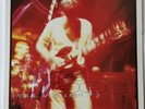 PAUL WELLER LIVE WOOD, DOUBLE VINYL LP RECORD, 1994, GRADING EXCELLENT
