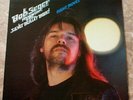 Bob Seger Night Moves LP Vinyl Original 1/2 Speed Master Recording NM- MFSL1-034