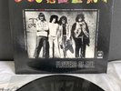 LP Mountain - Flowers of evil | Japan Press | M/NM