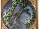 METALLICA Picture Disc CREEPING DEATH (from Ride the Lightning) P12KUT112 no bar