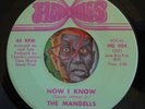 HEAR Mandells 45 Now I Know/Don't Turn Your Back HOUR GLASS soul funk M-