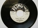  THE DELFONICS   THERE THEY GO   (PROMO)   VG+