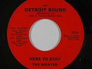 Psych 45 THE WANTED Here To Stay/In The Midnight Hour on Detroit Sound