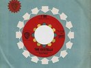 THE CASTELLS I Do Vinyl Record Single 7 Inch Warner Bros. 1964 Surf Brian Wilson