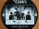 THE CRAMPS - SURFIN THE DARK - PICTURE DISC VINYL ALBUM - SEE DESCRIPTION