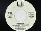 Funk Disco 45 - Sammy Gordon & Hipp Huggers - Jungle Bump - LuLu - VG+ mp3