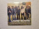Lynyrd Skynyrd - Icon - SEALED 2020 Southern Blues Rock Geffen Rec 2LPs PERFECT