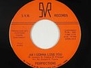 Northern Soul 45 - Perfections - Am I Gonna Lose You - SVR - VG++ mp3