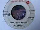The Gaylets / That Lonely Feeling / I Like Your World , 7