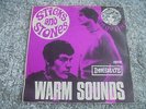 Warm Sounds - Sticks And Stones 1967 NORWAY 45 IMMEDIATE