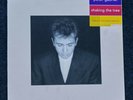 PETER GABRIEL Shaking The Tree 1990 1ST UK PRESSING VINYL LP PGTV 6 A1/B1 EX/EX