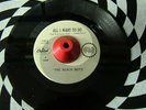 THE BEACH BOYS-I can Hear Music/All I want to do 7