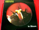 Nirvana In Bloom 12