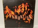 Damnation of Adam Blessing The Second Damnation Signed LP Vinyl Album 70s Rock