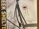 Iceage - Seek Shelter AUTOGRAPHED SIGNED Clear Color Vinyl LP x/750 1st Pressing