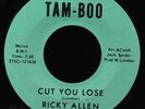 Ricky Allen-Cut You Lose/Soul Street-Tam-Boo 6720-NOS UNPLAYED FUNK SUPERB