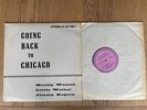 Going Back To Chicago Muddy Waters Python