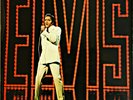 Elvis Presley - 1968 NBC TV SPECIAL Vinyl LP UK MONO RD 8011