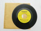 45 RPM, The Giant Red Jellybean, I Need Her, NM, RARE 1967 INDIANA GARAGE BAND
