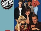BEVERLY HILLS 90210 / VARIO...-BEVERLY HILLS 90210 / VARIOUS (COLV) VINYL LP NEW