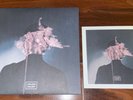 RARE Halsey Colors 7
