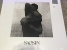 Along The Shadow by Saosin (Vinyl, 2016)