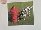 rush signals vinyl with hype sticker Promo Copy
