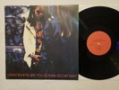 Lenny Kravitz - Are You Gonna Go My Way -NM/VG++ Psych Soul Blues Rock BL-1053