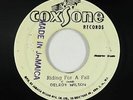 Reggae 45 - Delroy Wilson/Bonny & Skitter - Riding For A Fall - Coxsone - mp3